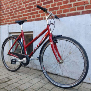 Raleigh Citybike